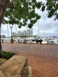 Marina Collection (D4), Condominium #637139741